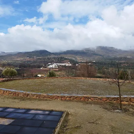 Olivos De * Fondón