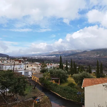 Olivos De *