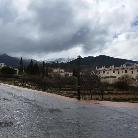 Olivos De * Fondón