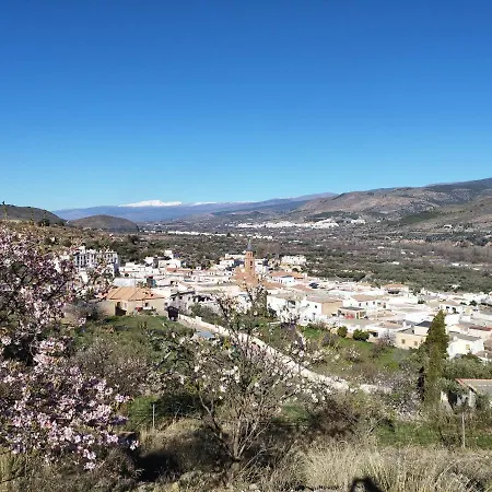 Olivos De